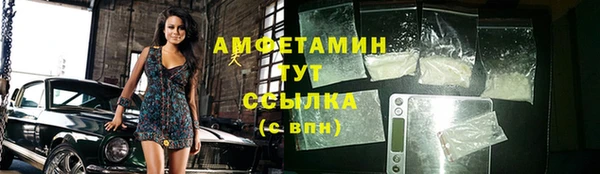 СК Алексин