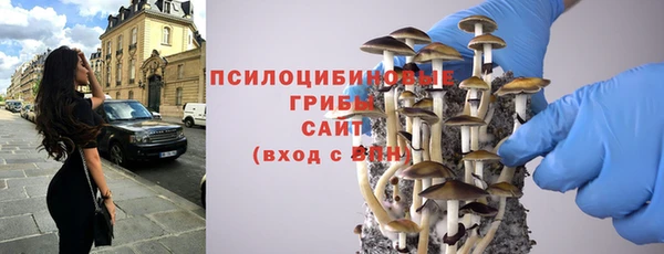синтетический гашиш Алексеевка