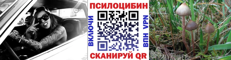 Псилоцибиновые грибы Cubensis купить наркоту Добрянка