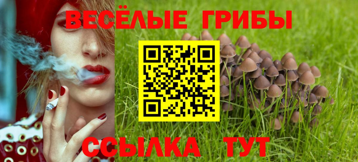 Галлюциногенные грибы MAGIC MUSHROOMS  Вход с VPN  Добрянка 