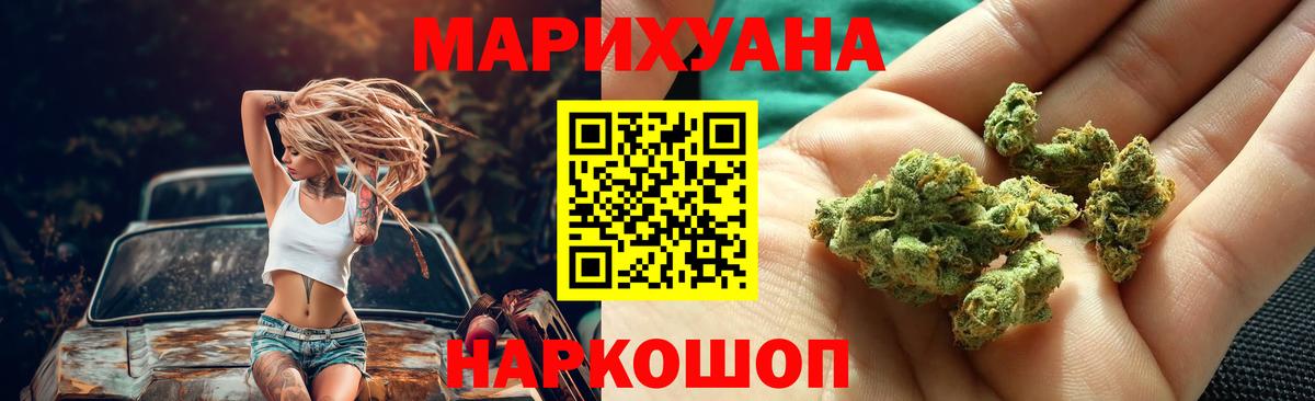 Конопля сатива Добрянка